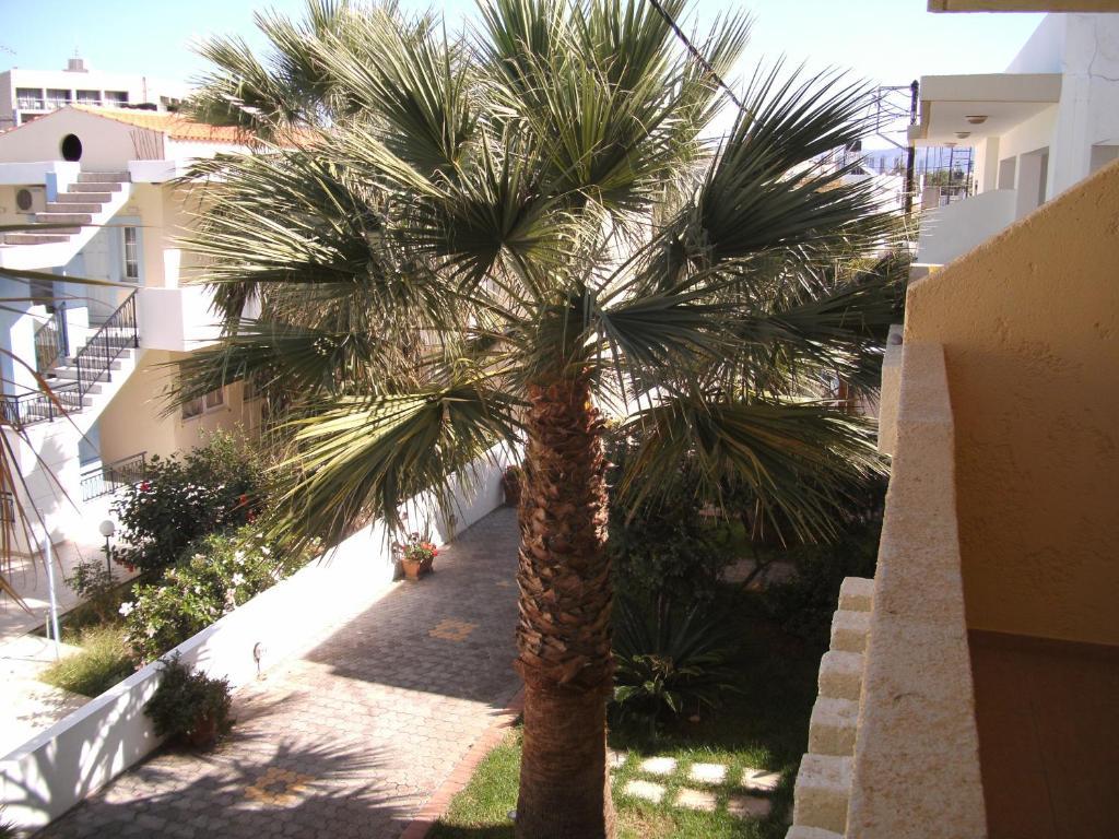 Lia Sofia Apartments Stalida Rum bild